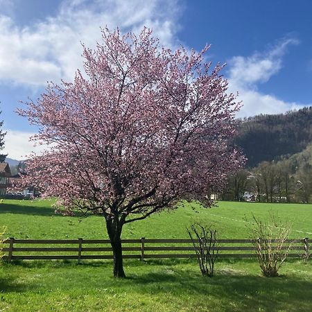 Open Garden Mountain Lodge Oberaudorf Esterno foto