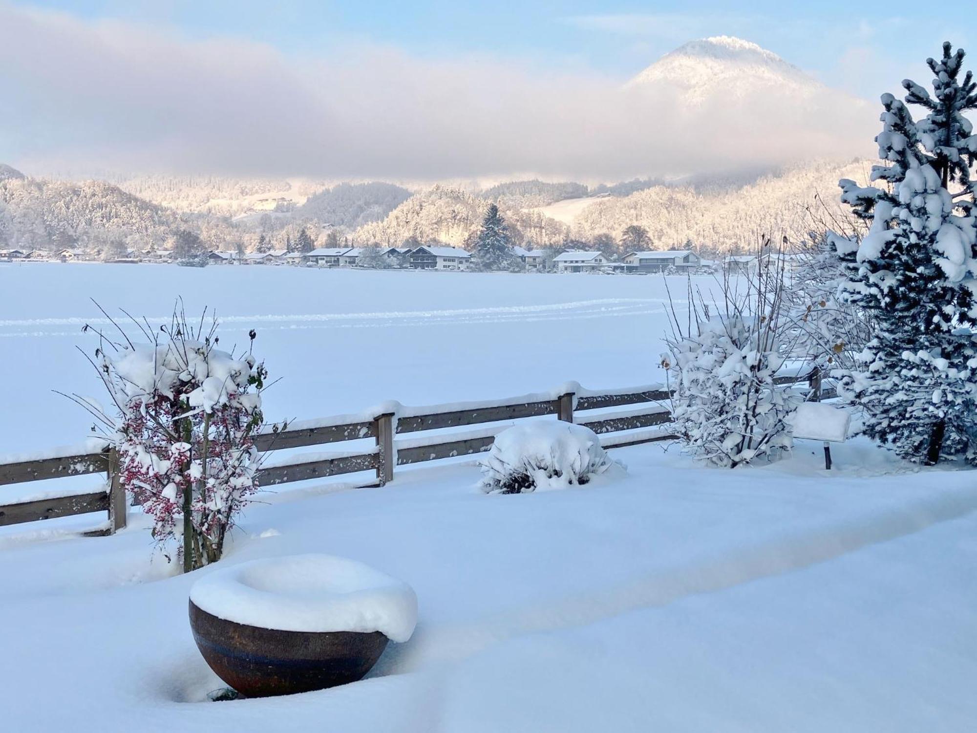 Open Garden Mountain Lodge Oberaudorf Esterno foto