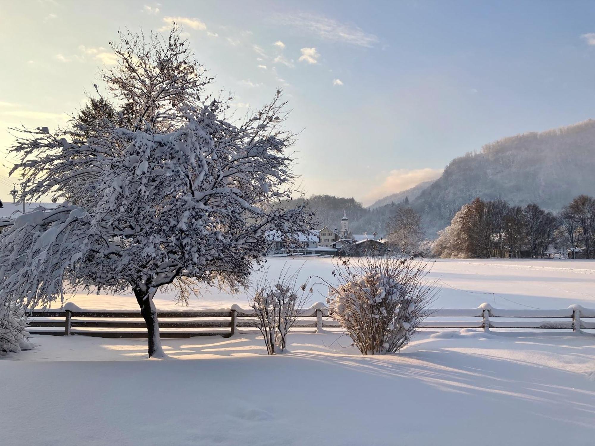 Open Garden Mountain Lodge Oberaudorf Esterno foto