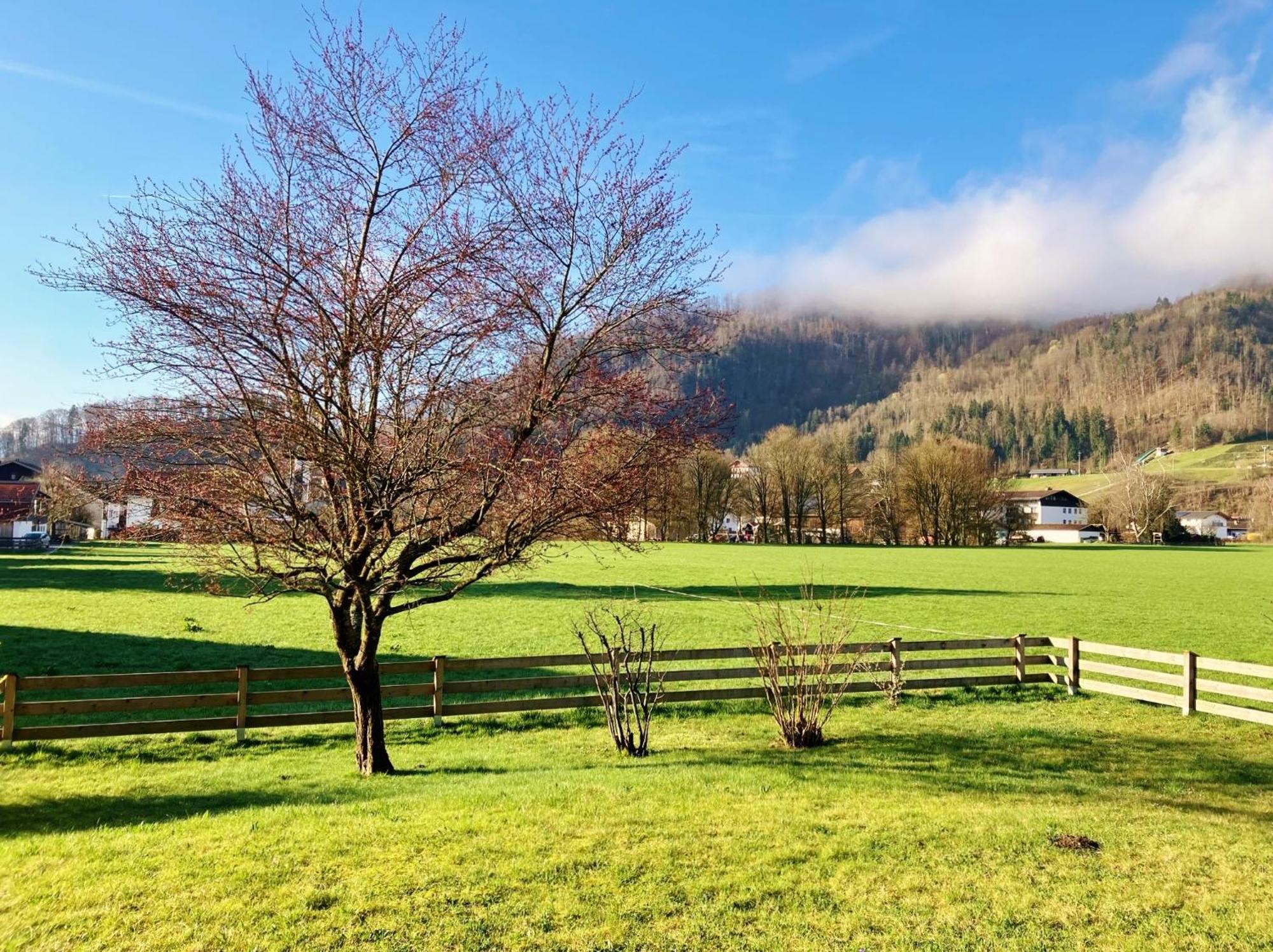 Open Garden Mountain Lodge Oberaudorf Esterno foto